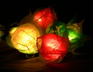 Red white Green rose fairy lights_sml.jpg